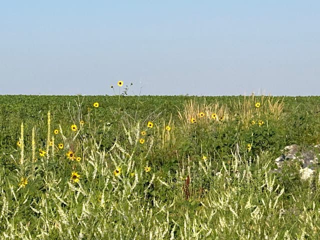 September Newsletter