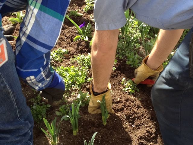 March 2024 Newsletter