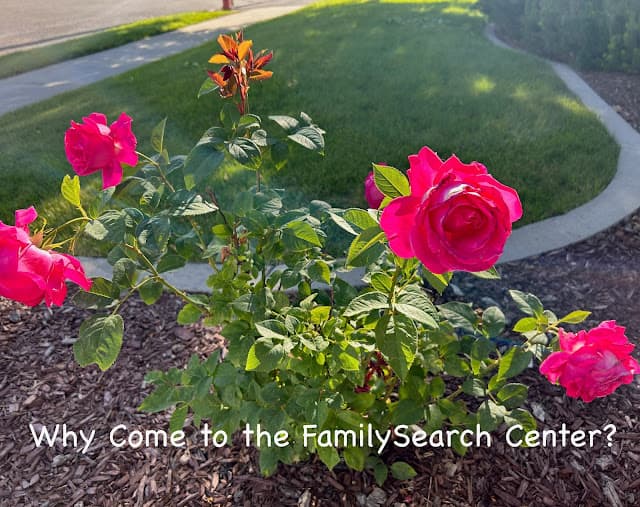 July 2023 Newsletter